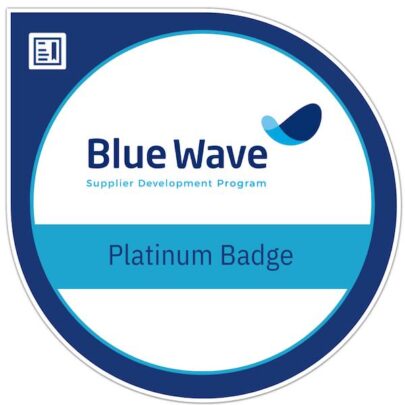 Blue Wave Academy logo