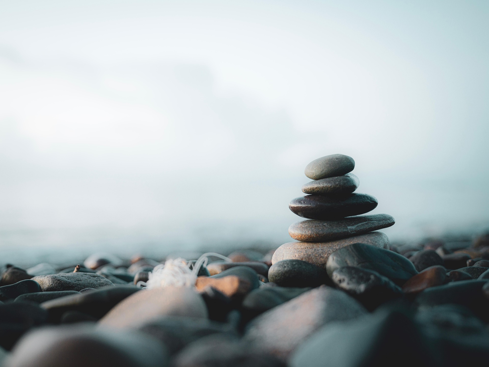 What If Resilience Isn’t About Being Tougher?